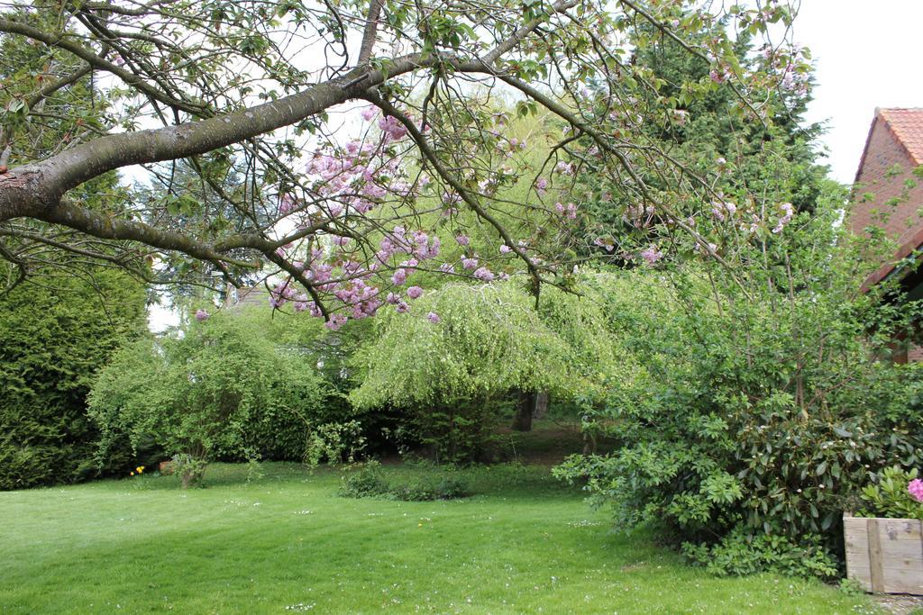 L'Heure Bleue Gites Et Chambres D'Hotes Givenchy-en-Gohelle Bagian luar foto